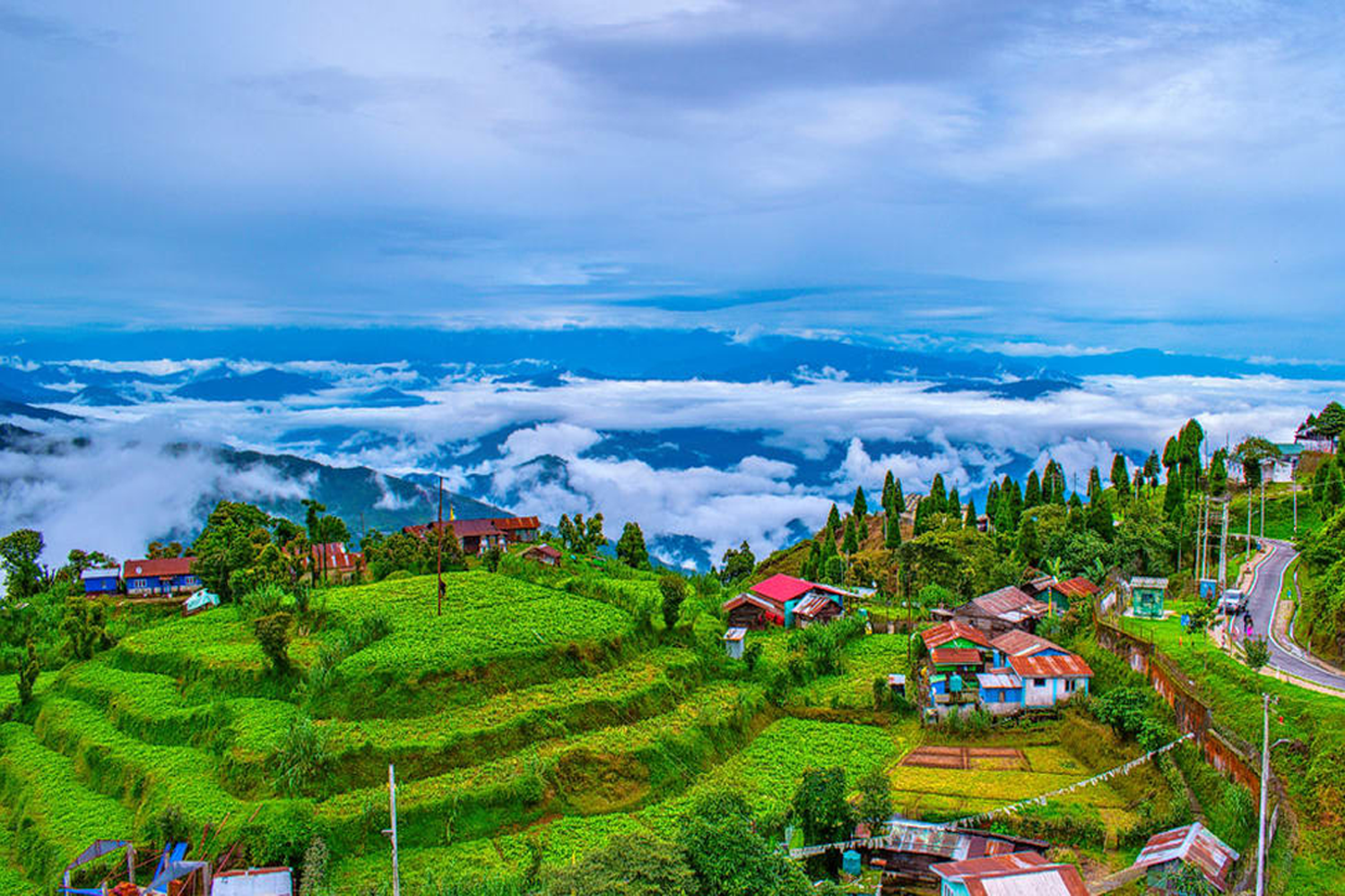 Dazzling Darjeeling