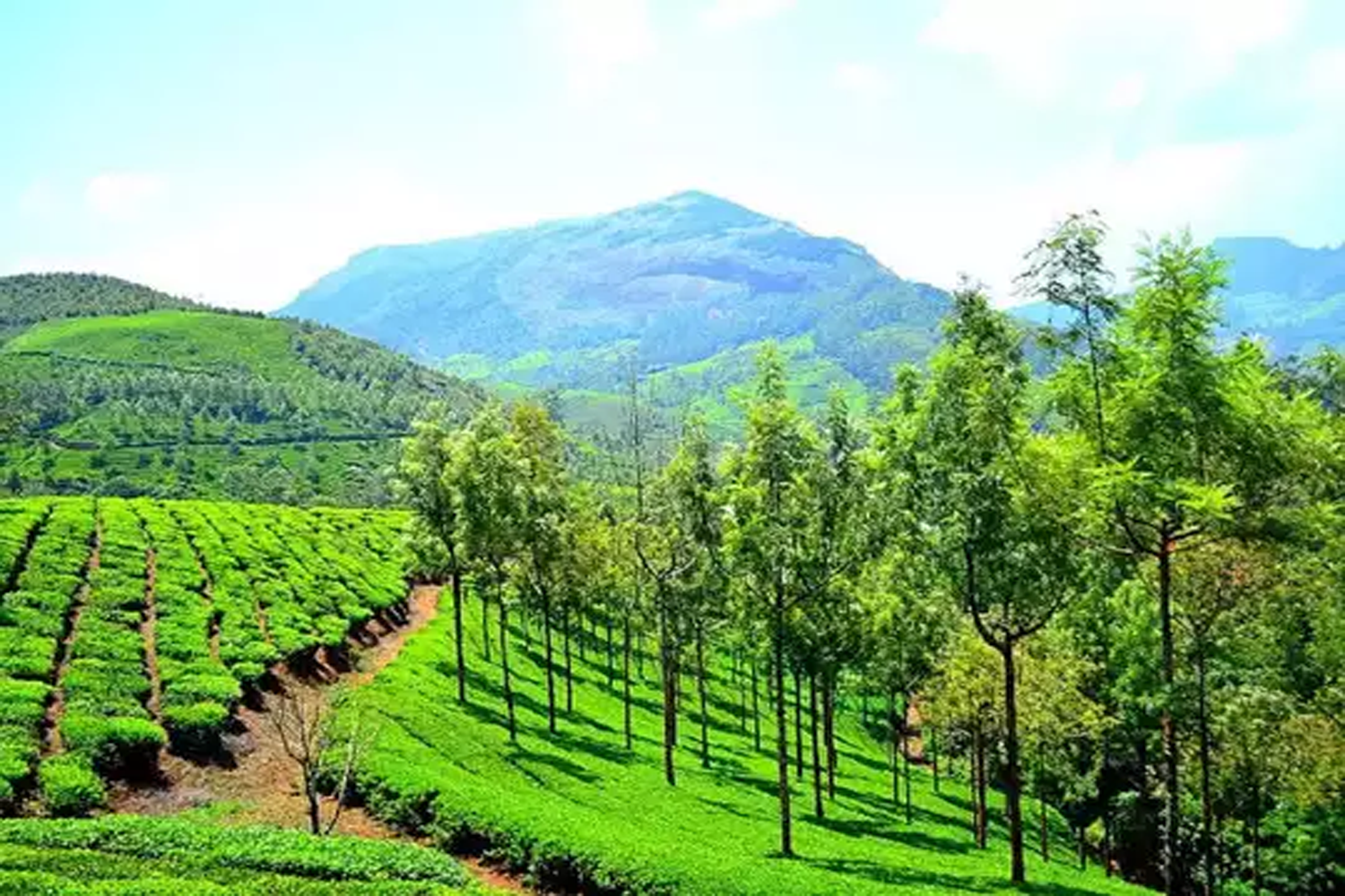 Munnar Cochin and Houseboat